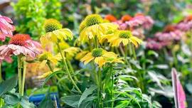 Make a Perennial Container