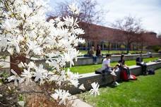 Virtual Admitted Student Day