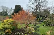 Garden open for the National HGarden Scheme