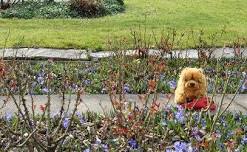 Malen im Park mit Binnie