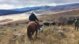 Ranchers Facing the Challenges of Wolf Reintroduction