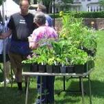 Michael Hannen Rare Plant Sale