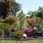 Mother's Day Special at Garden of Hope Mildura