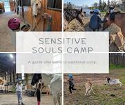 Sensitive Souls Children's Camp