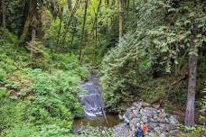 VIBC Weekender to Cowichan River