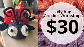 Ladybug crochet workshop