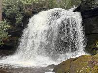 Neversink Gorge Hike 9 miles (Moderate)