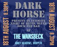 Dark Horse at The Wansbeck