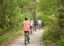 Wildlife in the Wetlands Bike Tour