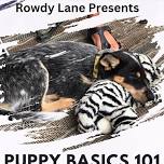 Puppy basics