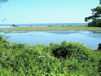 Ellisville Marsh Walk with Manomet, Friends of the Ellisville Marsh and Wildlands Trust