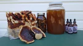 Medicinal Mushrooms in the Kitchen and Medicine Cabinet With John Michelotti of Catskill Fungi