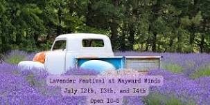 Lavender Festival — Travel Dundee