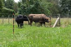 Pearson Farm and Fence Workshop