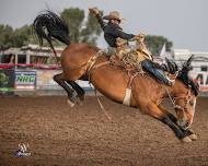 Tehachapi Pro Rodeo Concert