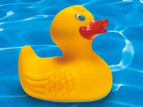 Auburn Junior Woman's Club Annual Duck Race