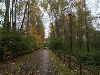 Walk the Puyallup Riverwalk Trail  6K/8K