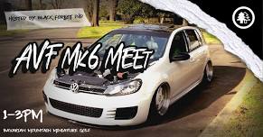 Alpine Volks Fair 2024 MK6 Meet