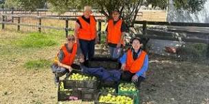 Fruit Rescue planning party