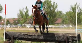 Wasatch Pony Club's The Chicken Event