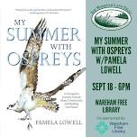 My Summer with Ospreys - WAREHAM