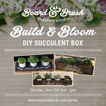 DIY Succulent Box Event