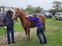 Horse Owner Free Wellness Clinic