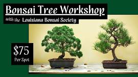 Bonsai Tree Workshop