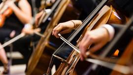 Worcester Philharmonic Orchestra: Summer Concert