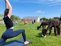 Outdoor Yoga with Alpacas & Goats