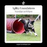 Agility Foundations 1