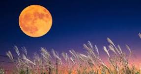 Soul Circle - 15th September, Full Harvest Super Moon in Pisces