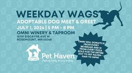 WeekDAY Wags! Adoptable Dog Meet!