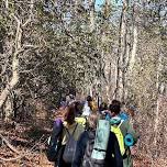 Yoga & Hiking: Rocky Neck State Park