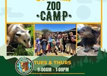 Zoo Camp!