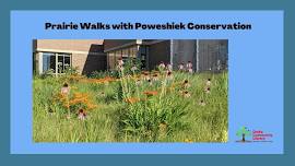 Prairie Walks with Poweshiek County Conservation