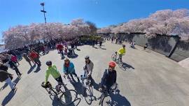 VSDC Veggie Biking – Bethesda to Washington Monument (and back)