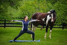 Yoga for Equestrians with Laura Crump Anderson