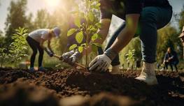 Tree Planting Day at Crediton Hall Campground