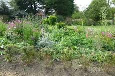 Garden open for the National Garden Scheme