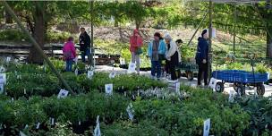 Sizzling Saturday Plant Sale