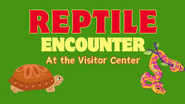 Reptile Encounter at the Visitor Center