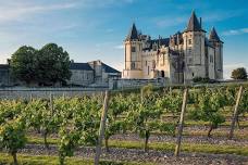 Tasting: Discover the Loire Valley