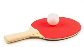 Table Tennis (Broomall)