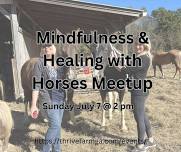 Mindfulness & Healing with Horses Meetup