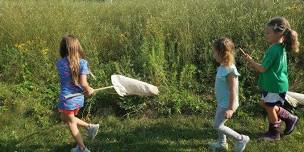 Lime Creek Littles - Exciting Insects!