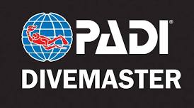 PADI DM Internships