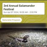 Salamander Fest!