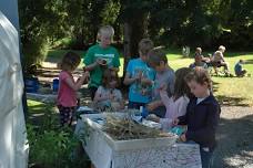 RSPB Children’s Activity – Beginner’s Bird watch