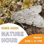 FREE Knee-High Nature Hour: 